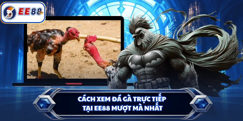 Cách xem đá gà trực tiếp tại EE88 mượt mà nhất