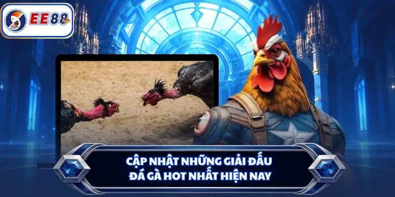 Cập nhật những giải đấu đá gà hot nhất hiện nay