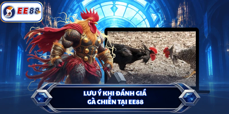 Lưu ý khi đánh giá gà chiến tại EE88