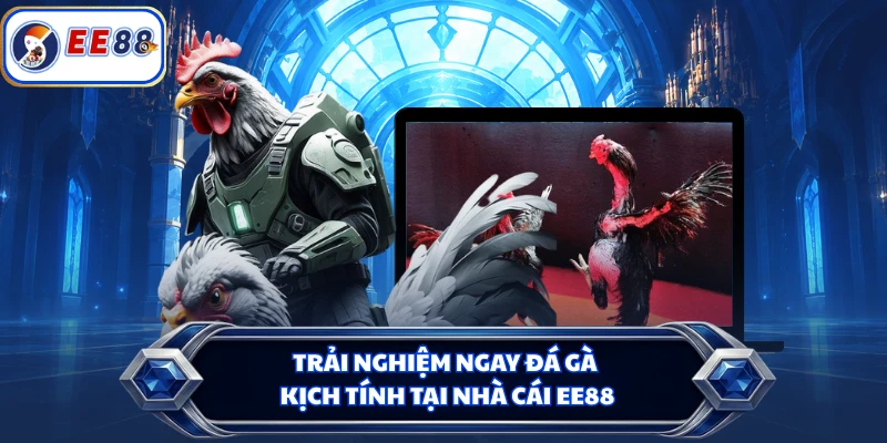 Trải nghiệm ngay đá gà kịch tính tại nhà cái EE88